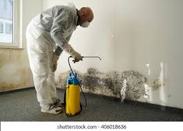 Professional Mold Removal in Grinnell, IA